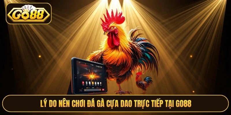 Lý do nên chơi đá gà cựa dao trực tiếp tại Go88
