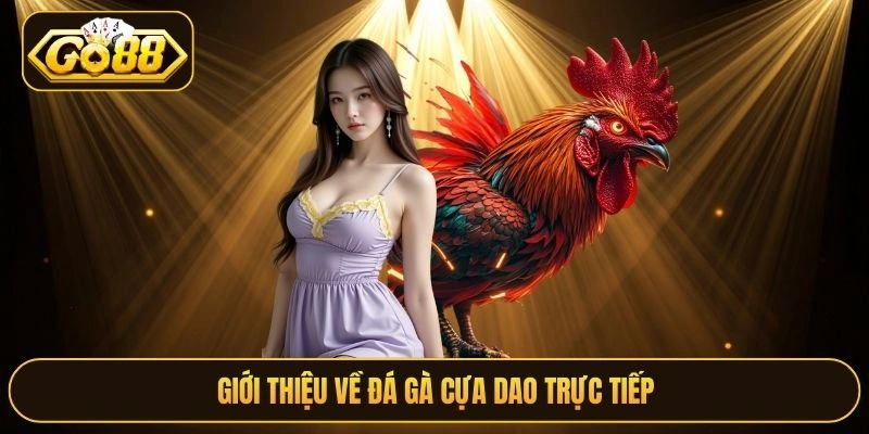 Giới thiệu về đá gà cựa dao trực tiếp